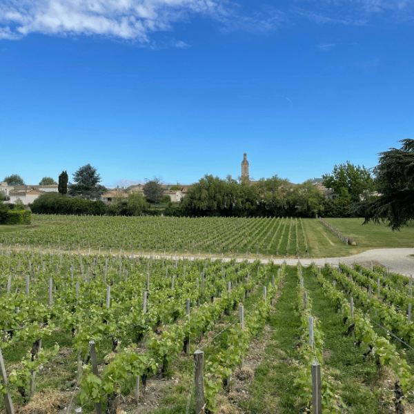 Primeurs Bordeaux Retour De D Gustations Cavissima Le Blog Vin