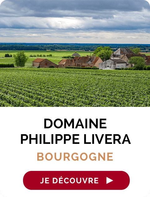 Producteur du mois : bourgogne