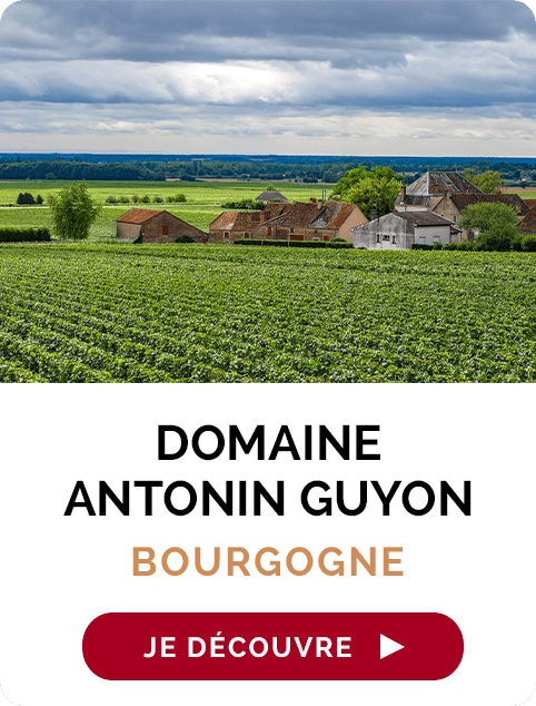 Producteur du mois : bourgogne