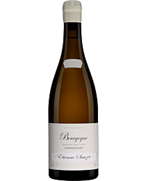 Domaine Etienne Sauzet