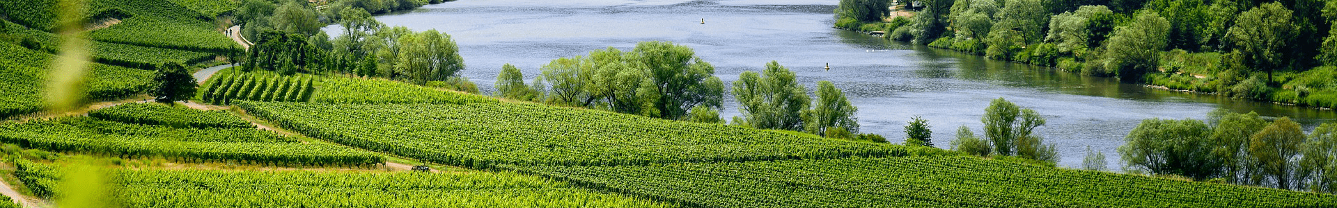 Domaine Jean-Francois Quenard 2022