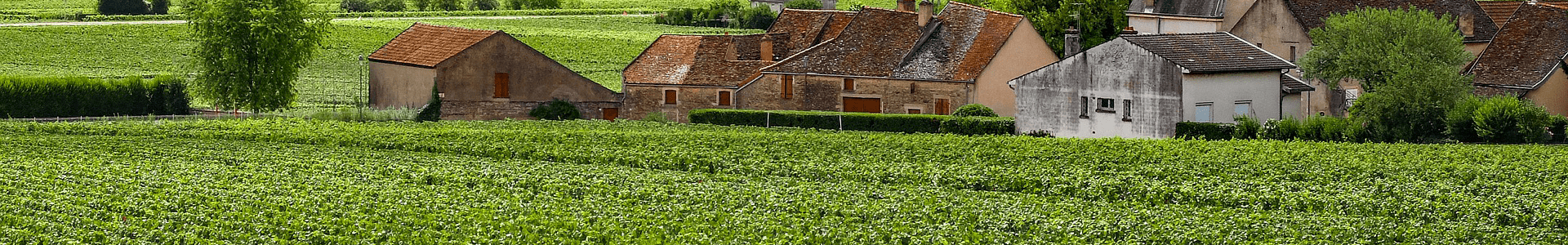 Domaine Denis Mortet 2018