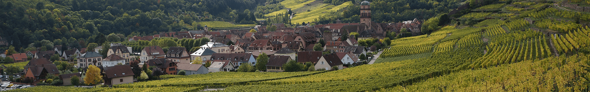 Domaine Zind-Humbrecht 2019