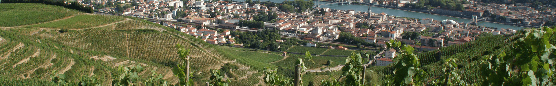 Domaine des Vins de Vienne 2020