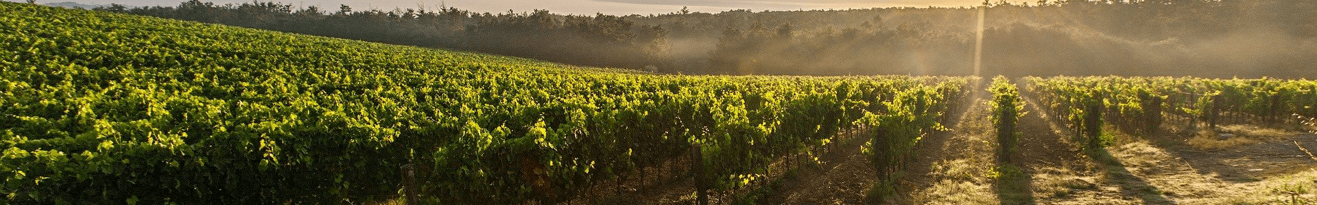 Château Andron Blanquet 2020